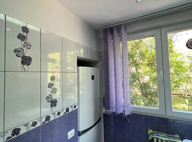 Berceni Sudului Cozy Apartman *