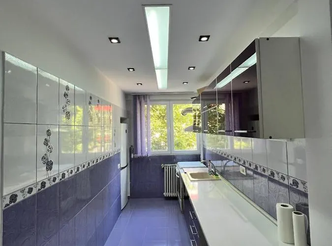 Berceni Sudului Cozy Apartman *