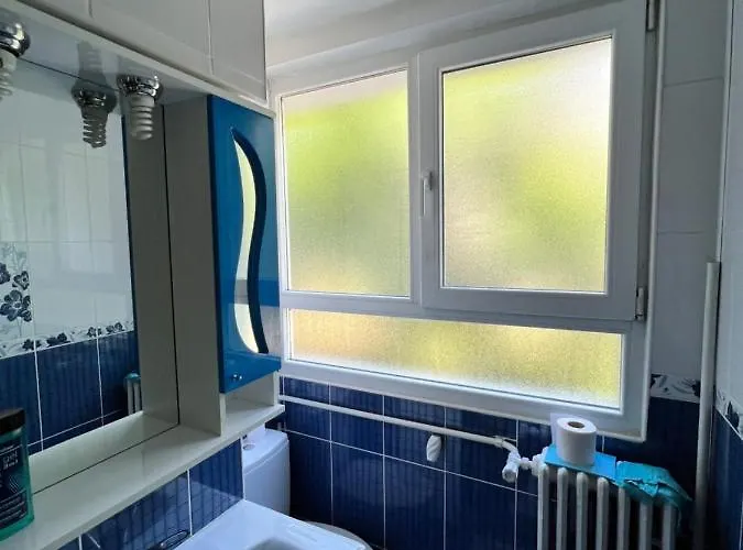 Berceni Sudului Cozy Apartman Bukarest