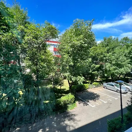 Berceni Sudului Cozy *