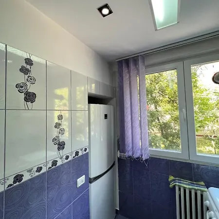 Berceni Sudului Cozy Apartment *