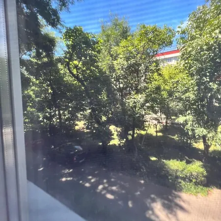 Berceni Sudului Cozy