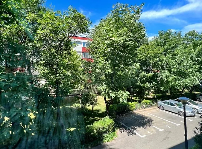 Berceni Sudului Cozy *