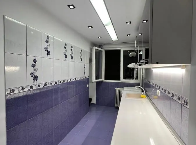 Berceni Sudului Cozy Apartamento *