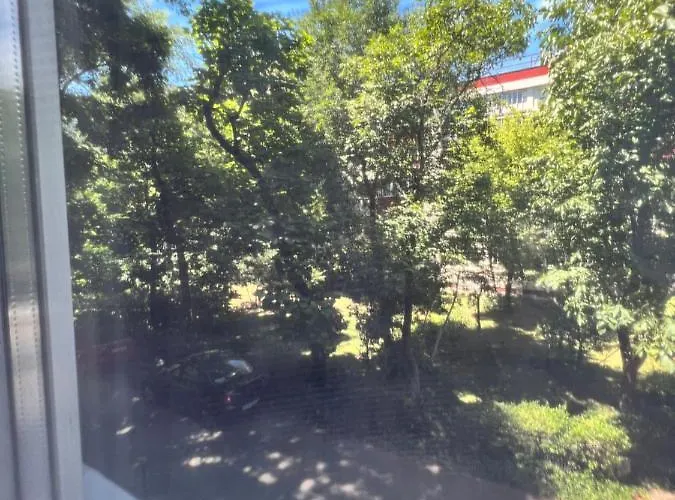 Berceni Sudului Cozy