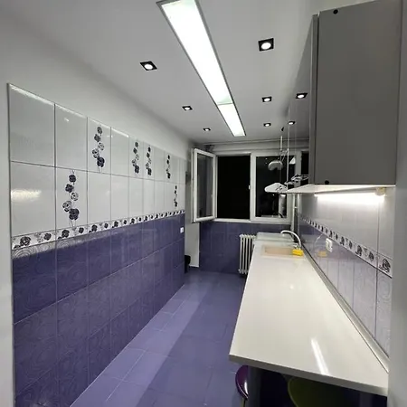 Berceni Sudului Cozy Apartament *