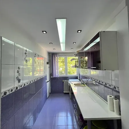 Berceni Sudului Cozy Apartamento *